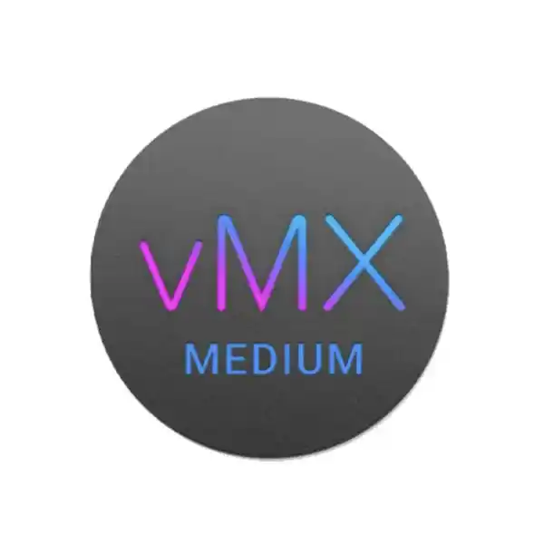 cisco meraki vmx medium uganda